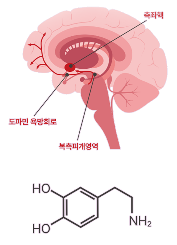 혹시...나도 도파민 중독?